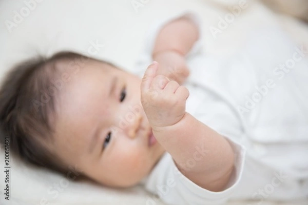 Obraz ハンドリガード