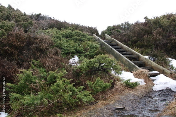 Fototapeta walking to the...