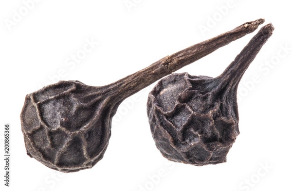 Obraz Black Peppercorn (Cubeb) Isolated on white background