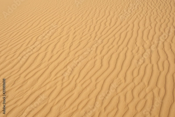 Obraz desert sand