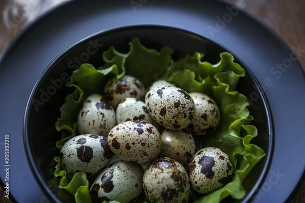 Obraz Quail Eggs