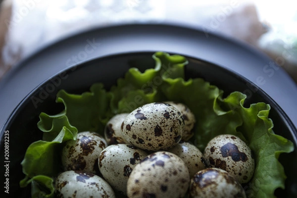 Obraz Quail Eggs