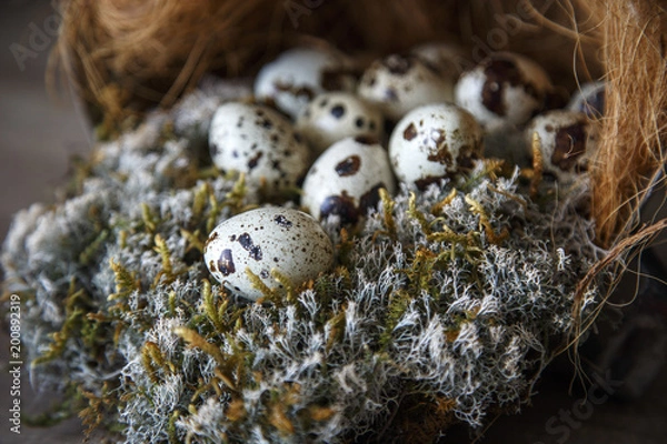 Obraz Quail Eggs