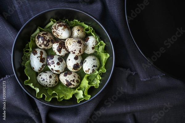 Obraz Quail Eggs