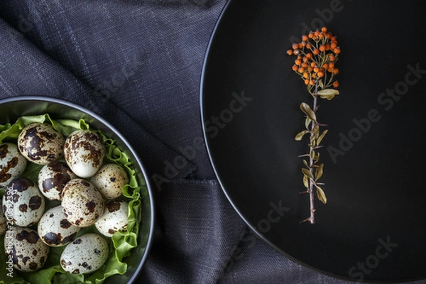 Obraz Quail Eggs