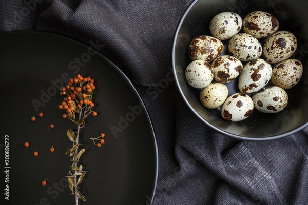Obraz Quail Eggs