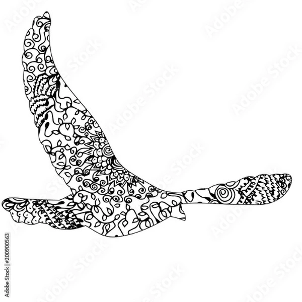 Fototapeta  isolated zentangle dove bird flying