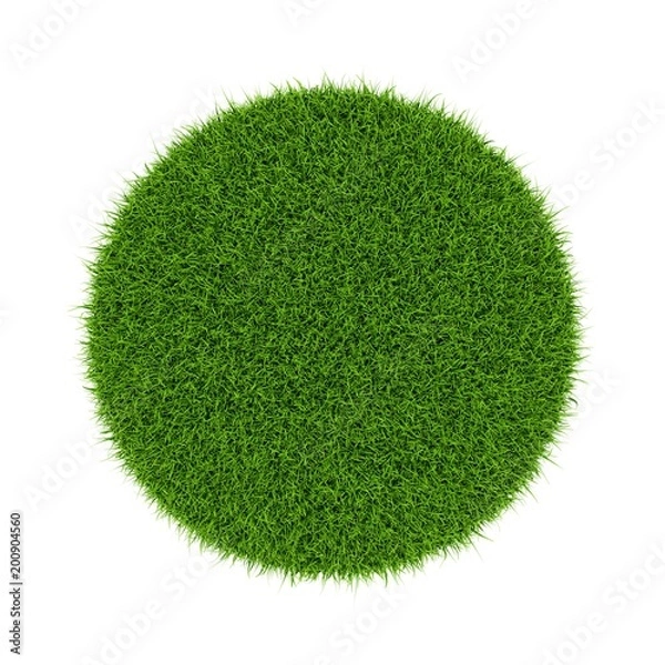 Obraz 3D rendering Green grass circle field isolated on white background