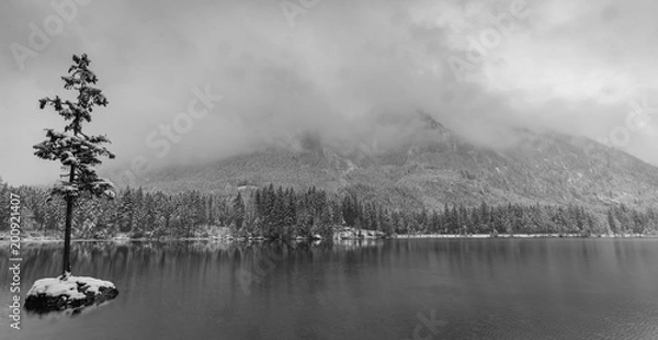 Obraz Baum im Hintersee2