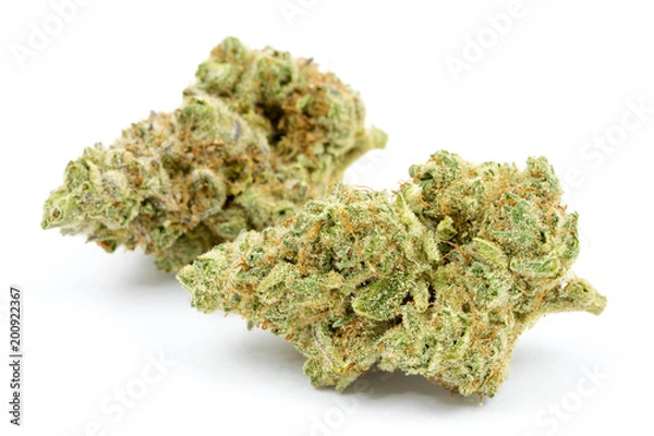 Obraz Marihuana Na Białym Tle