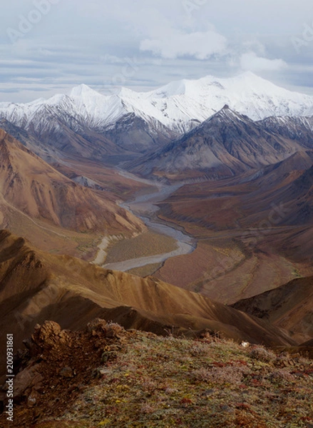 Fototapeta デナリ国立公園、アラスカ
