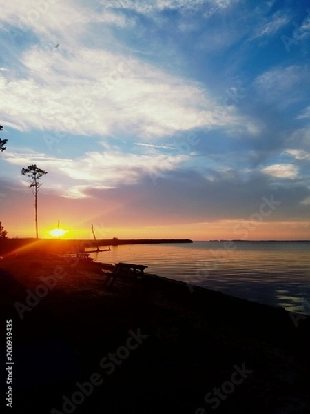 Fototapeta Beyond the pond 