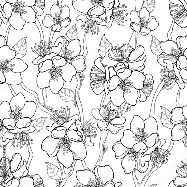 Fototapeta Vector seamless pattern with outline blooming Apricot flower bunch, branch and ornate leaves in black on the white background. Blossoming contour Apricot flowers for spring design and coloring book.