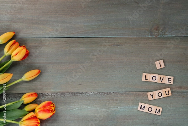 Fototapeta Colorful tulips on weathered green planks. Tile letters with sentiment for Mother's Day.