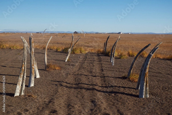 Fototapeta ポイント・ホープ、アラスカ
