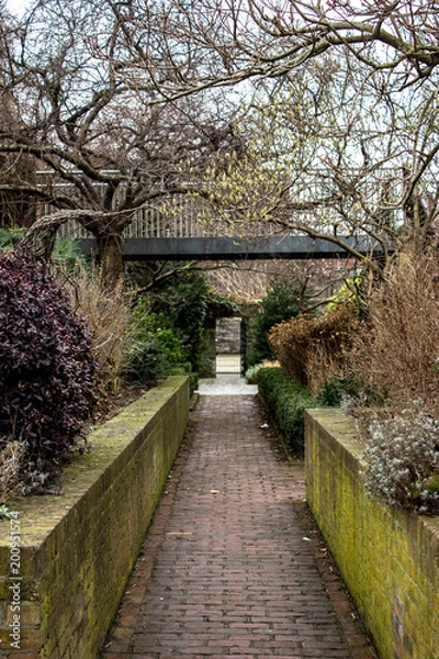 Fototapeta Dublin garden 