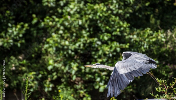 Fototapeta Ockenburgh 