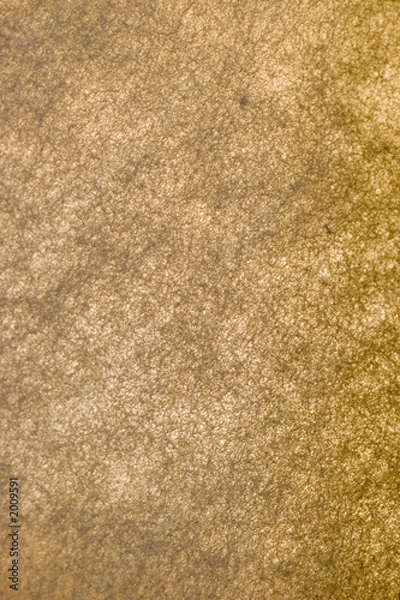 Obraz paper texture / background 2