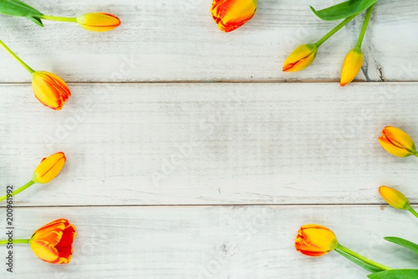Fototapeta Tulips on the outer edge of whitewashed wood planks