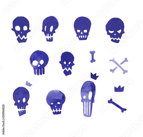 Obraz skull
