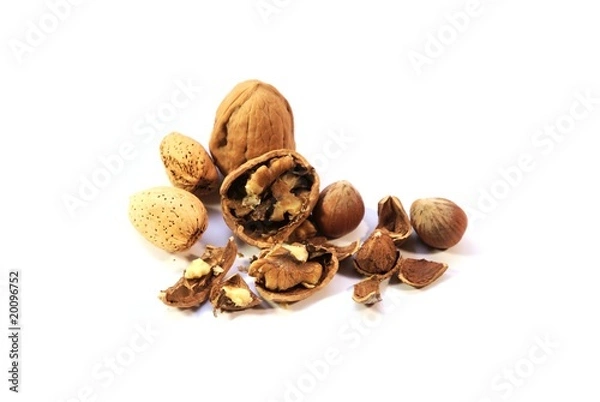 Obraz Noix de Grenoble,
