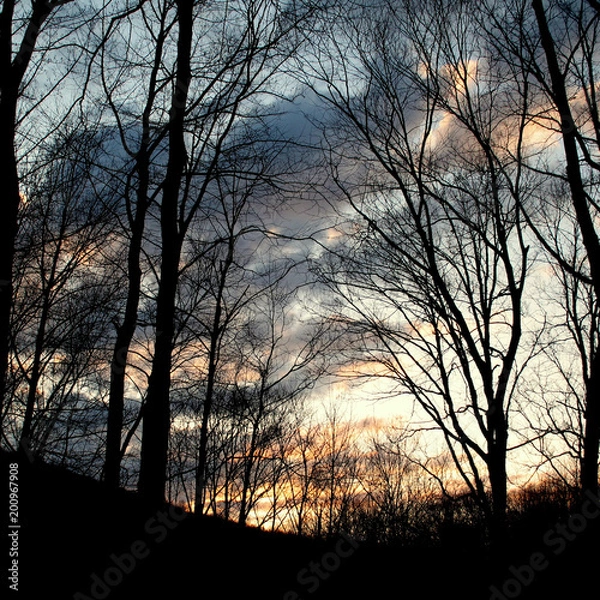 Obraz Sailor's Delight