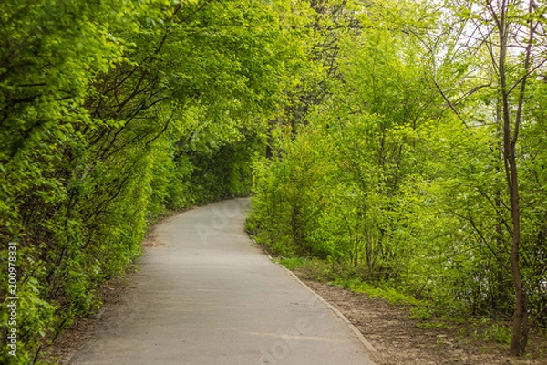 Obraz The drive to nowhere