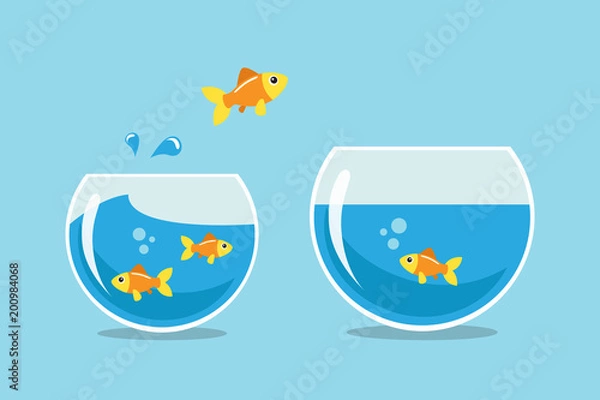 Obraz Golden fish jumping