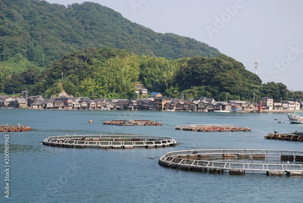 Obraz 伊根町重要伝統的建造物群保存地区（水辺の古いまちなみ）