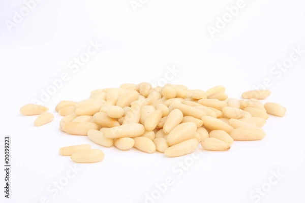 Obraz Orzechy sosnowe / Orzechy sosnowe