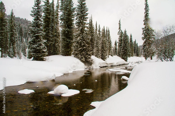 Obraz A river in a snowy forest.