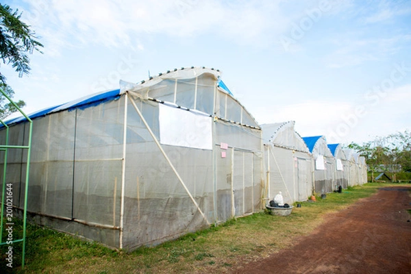 Obraz Greenhouse in a farm thailand