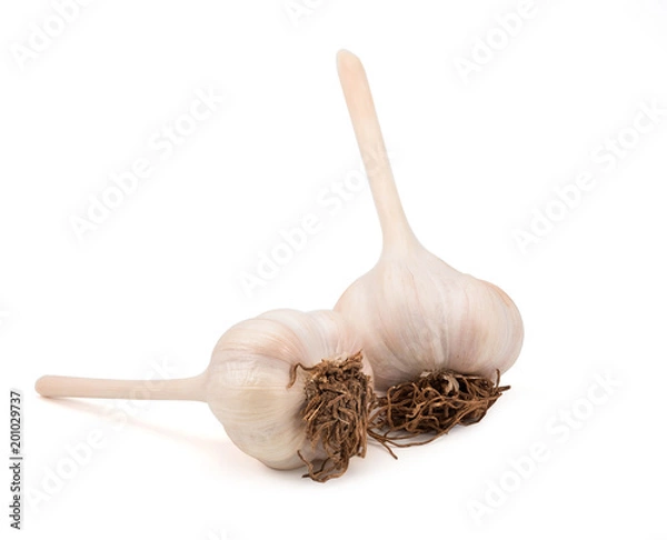 Fototapeta garlic isolated on white background.