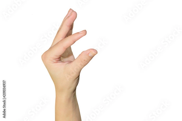 Fototapeta isolated on white background. Gestures of the hands - this is the person who shows the fingers