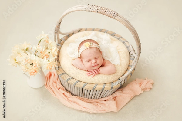 Obraz Photoshoot of a sleeping newborn girl in a basket with a bandage on her head, a gentle image of spring, a jar with daffodils