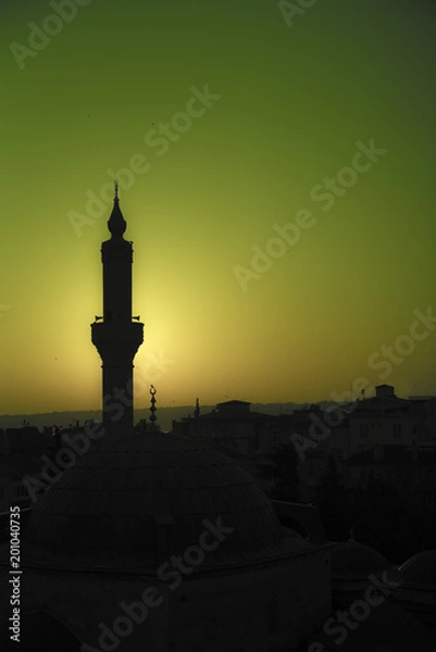 Fototapeta green  backplane mosque