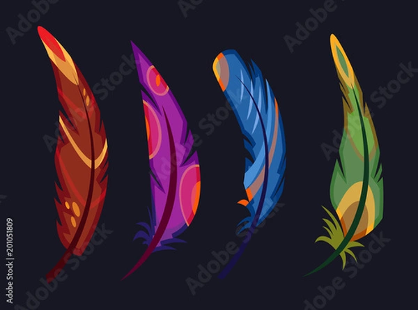 Obraz multi-colored bird feathers