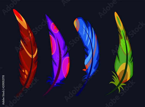 Obraz multi-colored bird feathers
