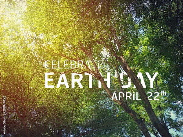 Fototapeta The celebrate earth day flat card or background with the tree see the branches and leaves