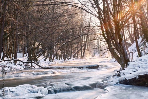 Fototapeta Roztoczańskie szumy zimą 