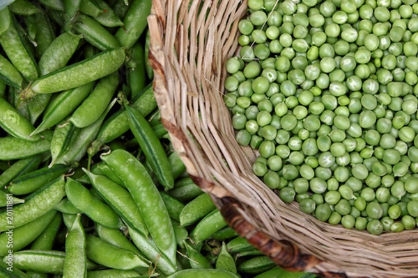 Obraz Arbejas Verdes