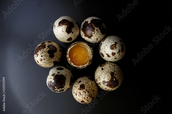 Obraz Quail Eggs