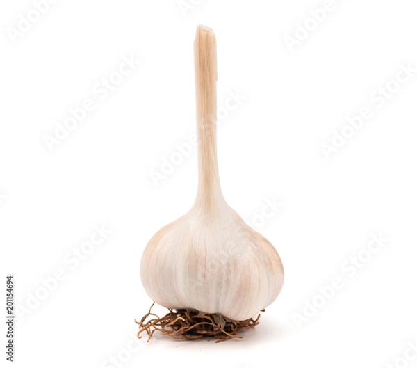 Fototapeta garlic isolated on white background.