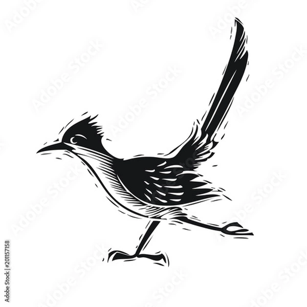 Obraz Roadrunner