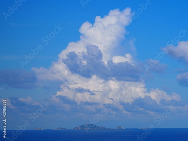 Fototapeta OLYMPUS DIGITAL CAMERA