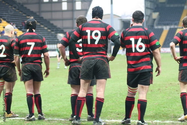 Obraz rugby players