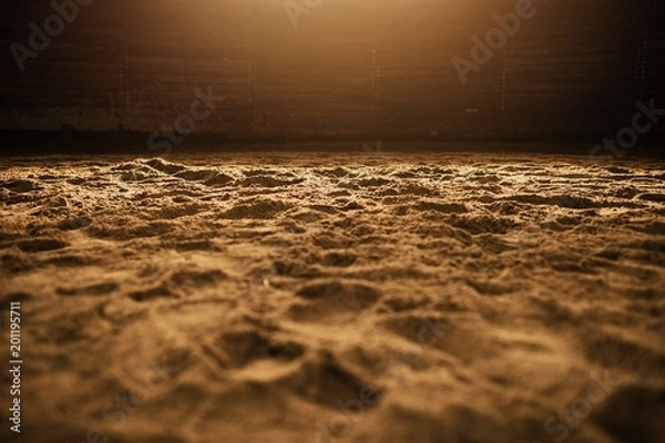 Obraz Sandy Rodeo Arena