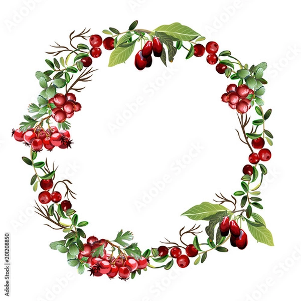Fototapeta Wreath of branches and berries.