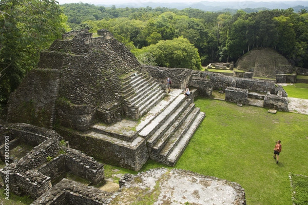 Obraz Caracol Mayan Ruins