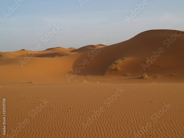 Obraz OLYMPUS DIGITAL CAMERA